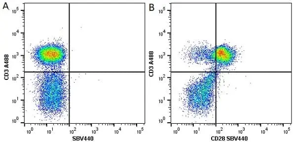 Anti Human CD28 Antibody, clone YTH913.12 gallery image 4