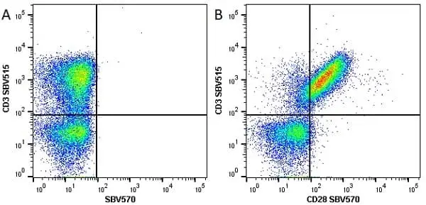 Anti Human CD28 Antibody, clone YTH913.12 gallery image 6