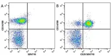 Anti Human CD28 Antibody, clone YTH913.12 gallery image 7