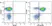 Anti Human CD28 Antibody, clone YTH913.12 thumbnail image 8