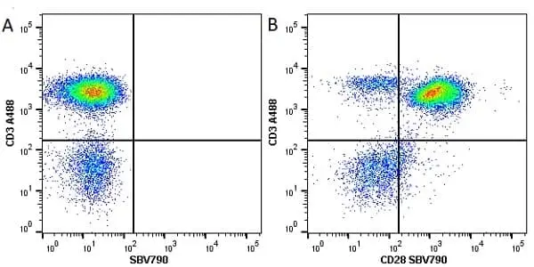Anti Human CD28 Antibody, clone YTH913.12 gallery image 8