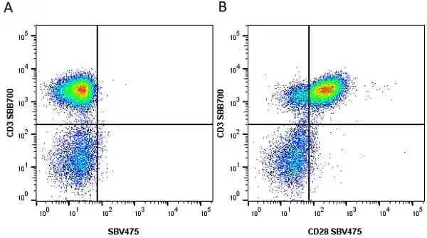 Anti Human CD28 Antibody, clone YTH913.12 gallery image 9