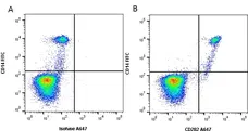 Anti Human CD282 Antibody, clone 11G7 gallery image 1
