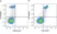Anti Human CD284 Antibody, clone HTA125 thumbnail image 12