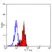 Anti Human CD284 Antibody, clone HTA125 thumbnail image 5