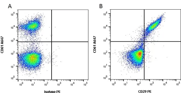 Anti Human CD29 Antibody, clone 12G10 gallery image 3