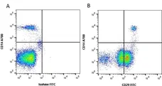 Anti Human CD29 Antibody, clone 4B7R gallery image 1