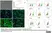 Anti Human CD29 Antibody, clone 4B7R thumbnail image 4