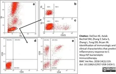 Anti Human CD3 Antibody, clone CD3-12 (Monoclonal Antibody Antibody) gallery image 11