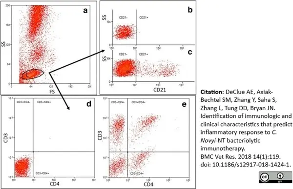 Anti Human CD3 Antibody, clone CD3-12 (Monoclonal Antibody Antibody) gallery image 11