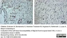 Anti Human CD3 Antibody, clone CD3-12 (Monoclonal Antibody Antibody) gallery image 19