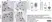 Anti Human CD3 Antibody, clone CD3-12 (Monoclonal Antibody Antibody) thumbnail image 29