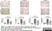 Anti Human CD3 Antibody, clone CD3-12 (Monoclonal Antibody Antibody) thumbnail image 4