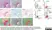Anti Human CD3 Antibody, clone CD3-12 (Monoclonal Antibody Antibody) thumbnail image 6