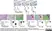 Anti Human CD3 Antibody, clone CD3-12 (Monoclonal Antibody Antibody) thumbnail image 7