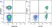 Anti Human CD3 Antibody, clone OKT3 thumbnail image 1