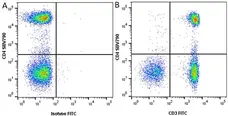 Anti Human CD3 Antibody, clone OKT3 gallery image 2