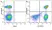 Anti Human CD3 Antibody, clone OKT3 thumbnail image 20