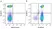 Anti Human CD3 Antibody, clone OKT3 thumbnail image 21