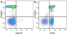 Anti Human CD3 Antibody, clone OKT3 gallery image 5
