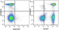 Anti Human CD3 Antibody, clone OKT3 gallery image 7