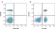 Anti Human CD3 Antibody, clone UCHT1 gallery image 1