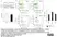 Anti Human CD3 Antibody, clone UCHT1 thumbnail image 10