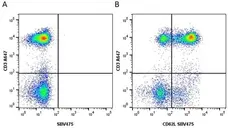 Anti Human CD3 Antibody, clone UCHT1 gallery image 100