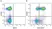Anti Human CD3 Antibody, clone UCHT1 thumbnail image 100