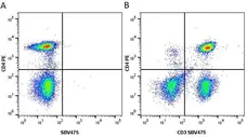 Anti Human CD3 Antibody, clone UCHT1 gallery image 101