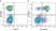 Anti Human CD3 Antibody, clone UCHT1 thumbnail image 103