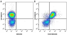 Anti Human CD3 Antibody, clone UCHT1 gallery image 105