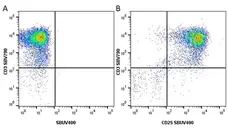 Anti Human CD3 Antibody, clone UCHT1 gallery image 110