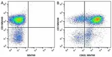 Anti Human CD3 Antibody, clone UCHT1 gallery image 113