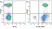 Anti Human CD3 Antibody, clone UCHT1 thumbnail image 115