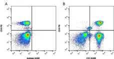 Anti Human CD3 Antibody, clone UCHT1 gallery image 12