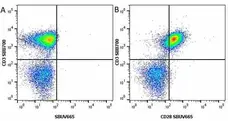 Anti Human CD3 Antibody, clone UCHT1 gallery image 121