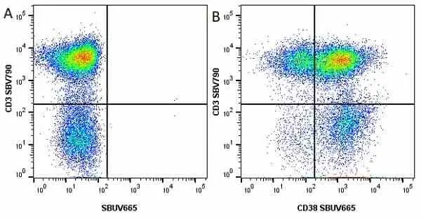 Anti Human CD3 Antibody, clone UCHT1 gallery image 122