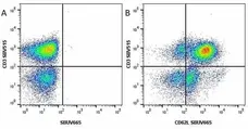 Anti Human CD3 Antibody, clone UCHT1 gallery image 123