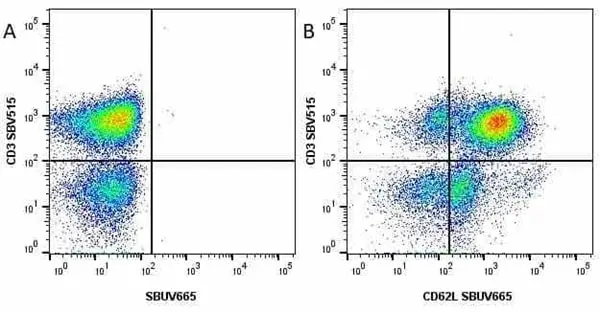 Anti Human CD3 Antibody, clone UCHT1 gallery image 123