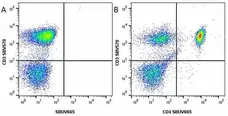 Anti Human CD3 Antibody, clone UCHT1 gallery image 125