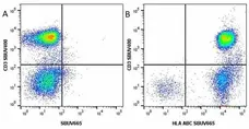 Anti Human CD3 Antibody, clone UCHT1 gallery image 127