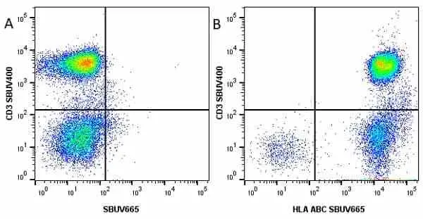 Anti Human CD3 Antibody, clone UCHT1 gallery image 127