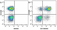Anti Human CD3 Antibody, clone UCHT1 gallery image 129