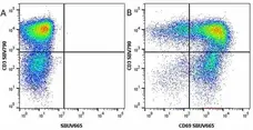 Anti Human CD3 Antibody, clone UCHT1 gallery image 130
