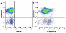Anti Human CD3 Antibody, clone UCHT1 gallery image 135