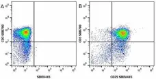 Anti Human CD3 Antibody, clone UCHT1 gallery image 136