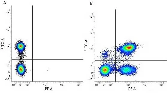 Anti Human CD3 Antibody, clone UCHT1 gallery image 14
