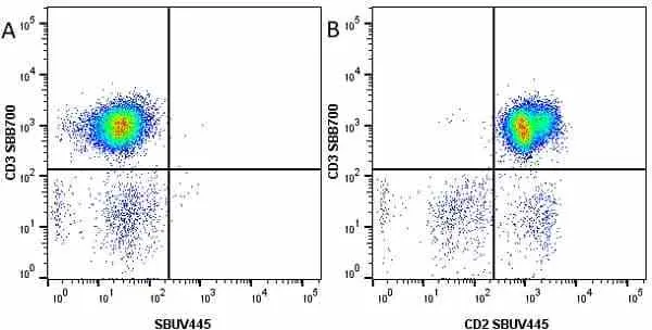 Anti Human CD3 Antibody, clone UCHT1 gallery image 141