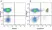 Anti Human CD3 Antibody, clone UCHT1 thumbnail image 143